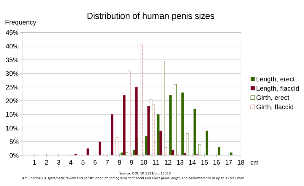 Penis durchschnitt durchmesser Schweizer Studie: