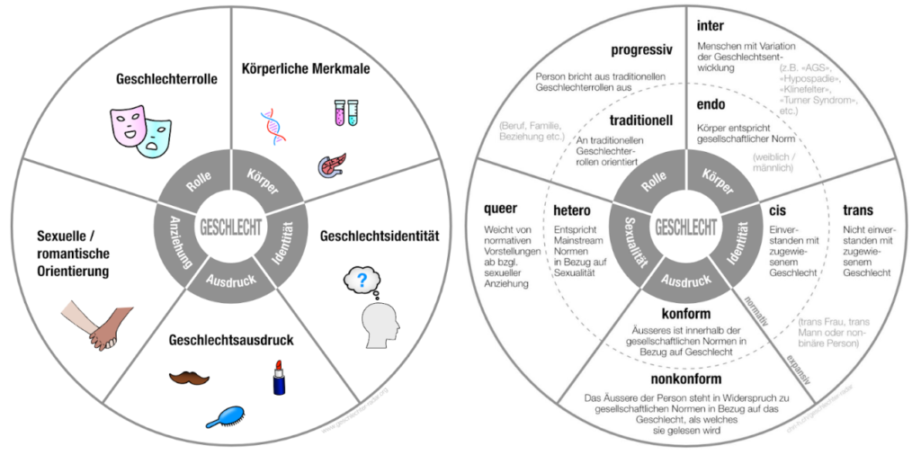 Geschlechterradar